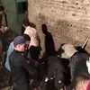 المنزل المنهار