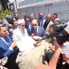 جانب من القافلة 