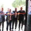 الفاعلية 