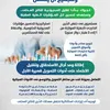 الديون