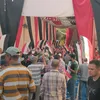 انتخابات مجلس الشيوخ