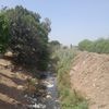 المصرف 