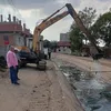 المنوفية