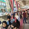 انتخابات مجلس الشيوخ 