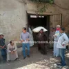جانب من صرف الأسمدة