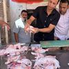ضبوطات 