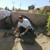 الفعالية 