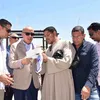 الفاعلية 