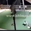الواقعة