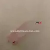 جانب من الاعتداء