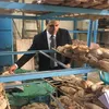 حملات تموينية مشددة بالإسماعيلية  