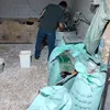 ضبوطات
