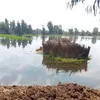 غرق اراضي المنوفية