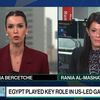 الدكتورة رانيا المشاط وزيرة التعاون الدولى
