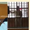 المتهمين 