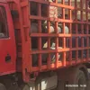 جانب من الحملات
