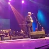 حفل علي الحجار 