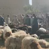 صور السوق