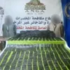 محافظة مطروح