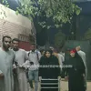 مسنه