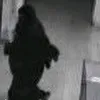 كاميرات المراقبة ترصد السيدة 