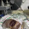 مصنع حلويات غير مرخص