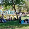 القناطر الخيرية