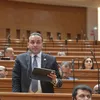 النائب عمرو فهمي