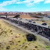 بوليفيا