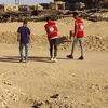 تحصين الكلاب الضاله