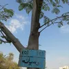 ترقيم الشجر 