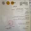تقارير الحالة  