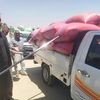 توريد القمح ببنى سويف 