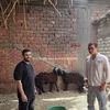 جانب من الاوضحية