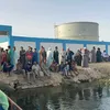 جانب من البحث 
