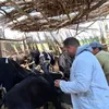 جانب من الحملة 
