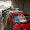 جانب من توريد القمح 
