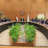 جانب من الفعاليات