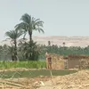 طرح النيل 