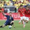 مصر والبرازيل 