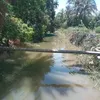 جانب من الترعه