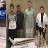 القبض على شيماء عبد العال وآخرين عقب مشاجرة بسبب الميراث