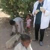 التطعيم