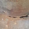 العامود 