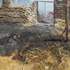 الحوش 