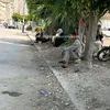 ترقب ودعوات.. أولياء الأمور يفترشون محيط لجان الثانوية العامة بكفر الشيخ
