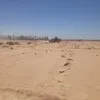 جانب من الازالات 