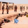 جانب من التدريب