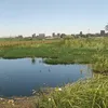 جانب من غرق الأراضي 
