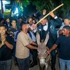 عريس يدخل حفل زفافه على حمار